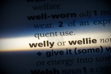 Foto de Welly word, resaltado en el diccionario, vista de cerca - Imagen libre de derechos