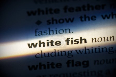 Foto de Palabra pescado blanco, resaltado en el diccionario, vista de cerca - Imagen libre de derechos