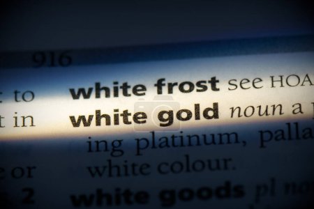 Foto de Palabra de oro blanco, resaltado en el diccionario, vista de cerca - Imagen libre de derechos