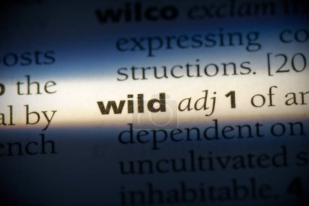 Téléchargez les photos : Wild word, surligné dans le dictionnaire, vue rapprochée - en image libre de droit