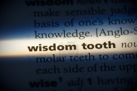 Foto de Palabra muela de sabiduría, resaltado en el diccionario, vista de cerca - Imagen libre de derechos