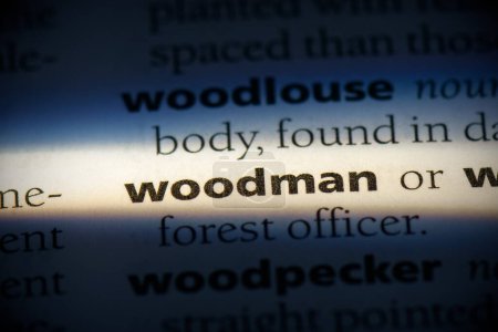 Téléchargez les photos : Woodman word, surligné dans le dictionnaire, vue rapprochée - en image libre de droit