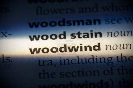 Téléchargez les photos : Woodwind word, surligné dans le dictionnaire, vue rapprochée - en image libre de droit