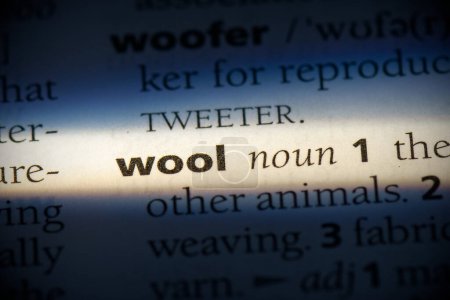 Téléchargez les photos : Mot laine, surligné dans le dictionnaire, vue rapprochée - en image libre de droit