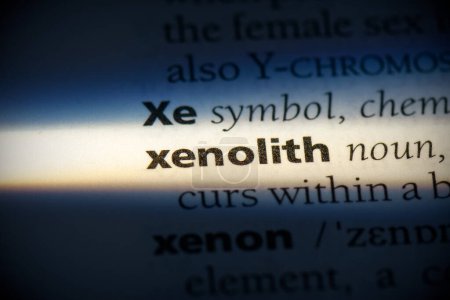 Foto de Palabra xenolito, resaltado en el diccionario, vista de cerca - Imagen libre de derechos