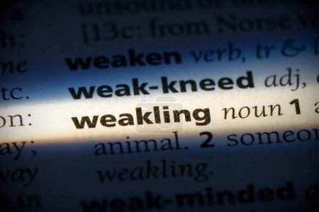 Photo for Weakling word, highlighted in dictionary, close up view - Royalty Free Image