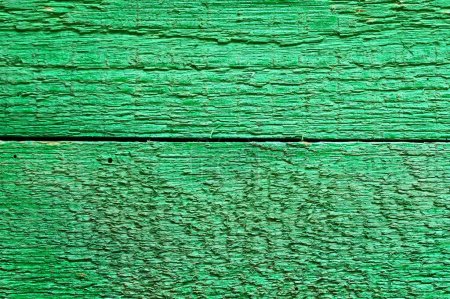 Photo for Green wooden texture background, - Royalty Free Image