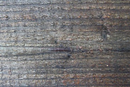 Photo for Texture of old wood background - Royalty Free Image