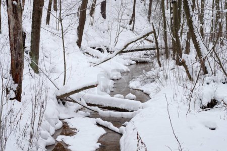 Photo for Beautiful winter landscape with snow covered trees and frozen stream - Royalty Free Image