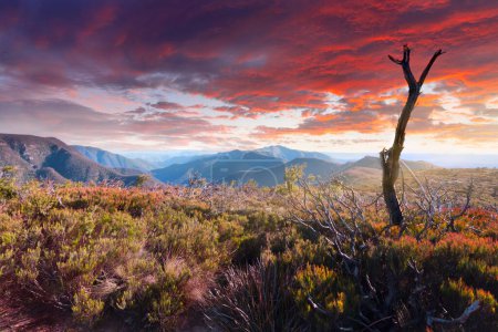Téléchargez les photos : Paysage de montagne pittoresque au coucher du soleil - en image libre de droit