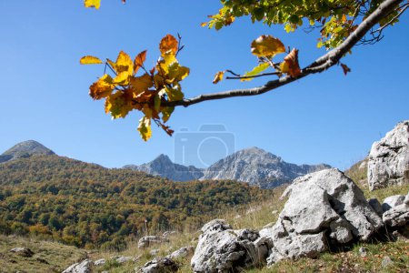 Téléchargez les photos : Natural landscape background of Abruzzo national park - en image libre de droit