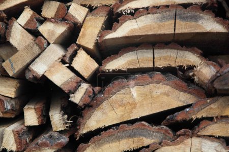 Téléchargez les photos : Pile de grumes en bois, fond naturel - en image libre de droit
