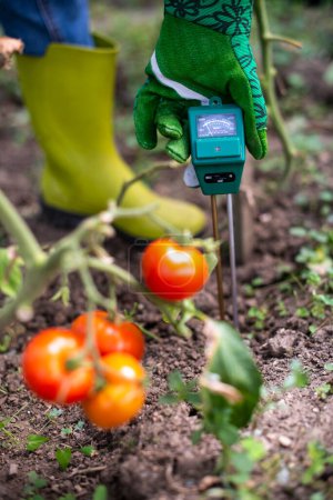 Photo for Moisture meter tester in soil. Measure soil for humidity - Royalty Free Image
