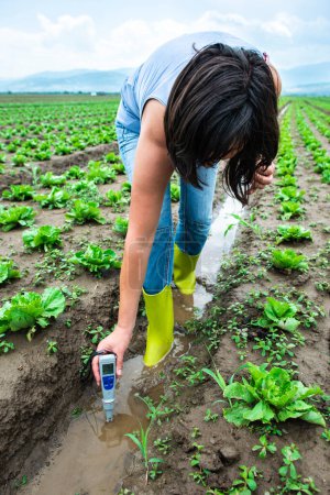 Téléchargez les photos : Femme mesure l'eau d'irrigation avec compteur numérique PH dans l'eau - en image libre de droit