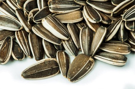 Photo for Raw sunflower seed close-up - Royalty Free Image