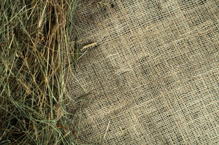 Photo for Abstract fabric backdrop. Hay on burlap - Royalty Free Image