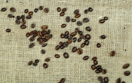 Photo for Roasted brown coffee beans on Canvas textile - Royalty Free Image