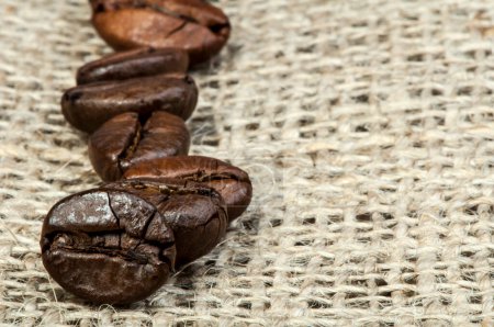 Photo for Brown roasted coffee beans and canva textile, copy space - Royalty Free Image