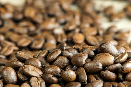 Foto de Coffee beans, close-up view - Imagen libre de derechos
