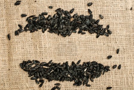 Photo for Black sunflower seeds on canvas - Royalty Free Image