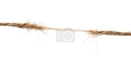 Photo for Torn rope on white background - Royalty Free Image