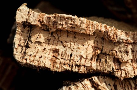 Photo for Cork crust close up - Royalty Free Image