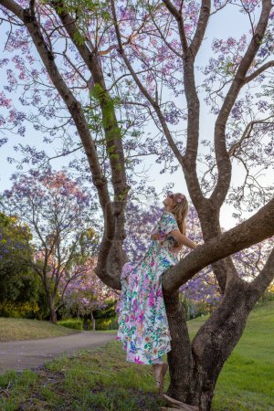 Téléchargez les photos : Une femme est assise dans la branche d'un arbre - en image libre de droit