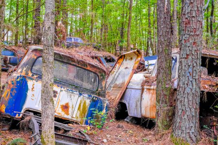 Photo for Wrecked Cars in Trees - Royalty Free Image