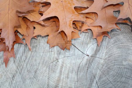Téléchargez les photos : Feuilles d'automne bordure sur fond en bois - en image libre de droit