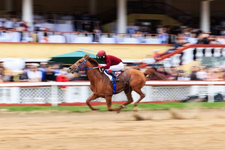 Téléchargez les photos : Horse racing, abstract background, blurred contours - en image libre de droit