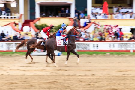 Foto de Horse racing, abstract background, blurred contours - Imagen libre de derechos