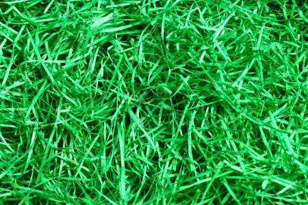 Photo for Full frame shot of beautiful grass for background - Royalty Free Image