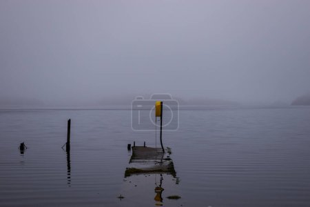 Téléchargez les photos : Lough Key brouillard et inondé pendant l'hiver - en image libre de droit