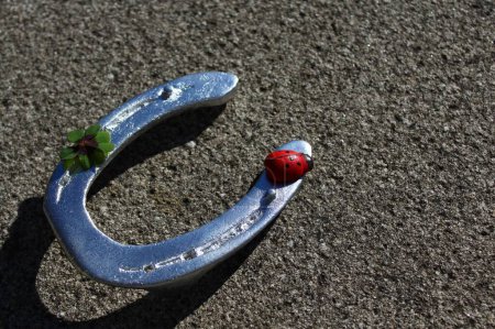 Photo for Good luck wishes. Ladybird on horseshoe - Royalty Free Image