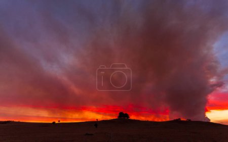 Foto de Bushfire cerca de Braidwood sobre fondo natural - Imagen libre de derechos