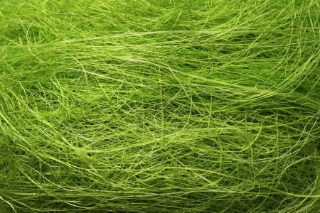 Téléchargez les photos : Vert herbe texture fond - en image libre de droit