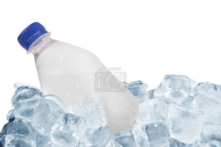 Foto de Botella en hielo sobre fondo blanco - Imagen libre de derechos