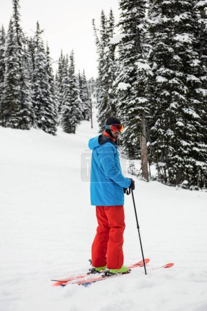 Photo for Skier skiing on snow covered mountains - Royalty Free Image