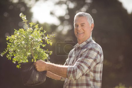 Photo for Senior man gardening plant - Royalty Free Image