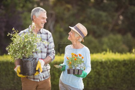 Photo for "Senior couple gardening together" - Royalty Free Image