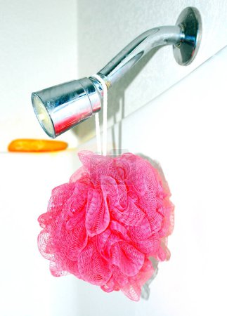 Téléchargez les photos : Pomme de douche éponge et savon. - en image libre de droit