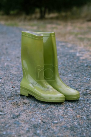 Téléchargez les photos : Paire de bottes vert wellington - en image libre de droit