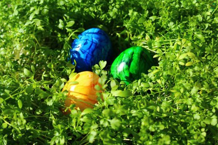 Téléchargez les photos : Oeufs de Pâques en cresson - en image libre de droit