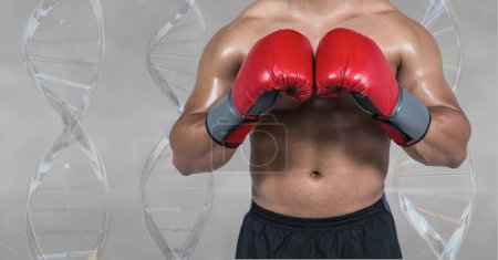 Photo for Man boxing with 3D DNA strands against grey background - Royalty Free Image