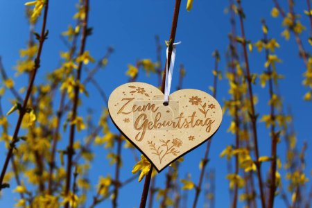 Photo for Wooden heart with the german text for birthday in the forsythia - Royalty Free Image
