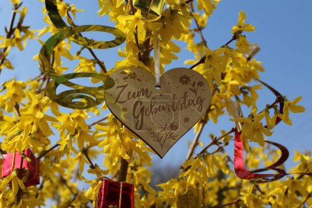 Téléchargez les photos : Coeur en bois avec le texte allemand pour l'anniversaire dans la forsythia - en image libre de droit