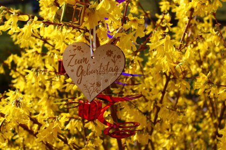 Téléchargez les photos : Coeur en bois avec le texte allemand pour l'anniversaire dans la forsythia - en image libre de droit