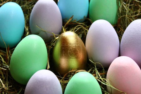 Téléchargez les photos : Oeuf de Pâques doré et de nombreux œufs colorés - en image libre de droit