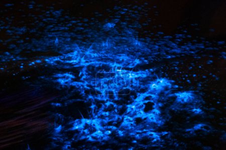 Téléchargez les photos : Bioluminescence étincelle de mer dans la marée océanique - en image libre de droit