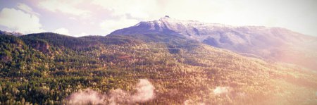 Téléchargez les photos : Pente de montagne couverte de forêt verte pendant l'hiver - en image libre de droit